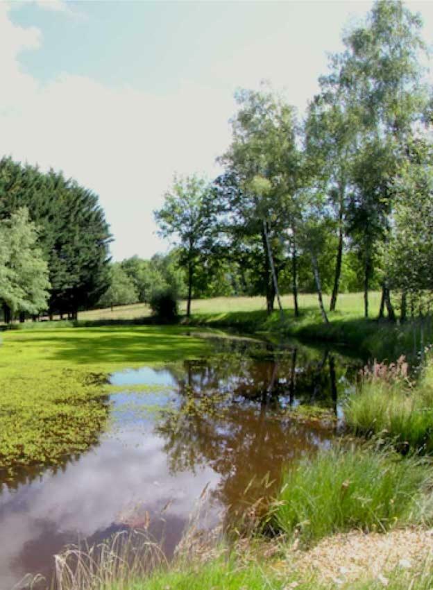 Domaine Des Grandes Landes Villa Saint-Paul-la-Roche Eksteriør bilde
